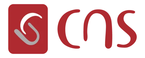 computer network systemes cns logo
